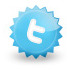 Seguimi su Twitter