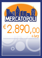 franchising mercatino